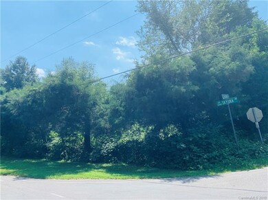 8.652 ac Skyuka Rd, Statesville, NC 28677 - photo 4