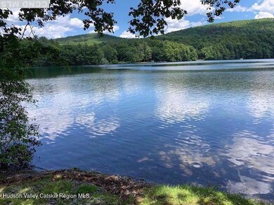 105 McNamee Rd, Canaan, NY 12029 - photo 5