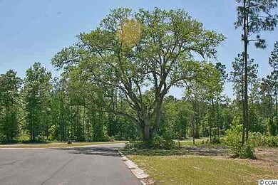 23 Huntersfield Ct, Georgetown, SC 29440 - photo 3