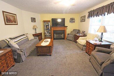 571 Brush Leaf Ln, Mount Jackson, VA 22842 - photo 3