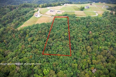 20C N Rockfish Rd, Hilham, TN 38551 - photo 6