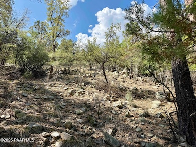 5980a Old Walker Rd, Prescott, AZ 86303 - photo 4