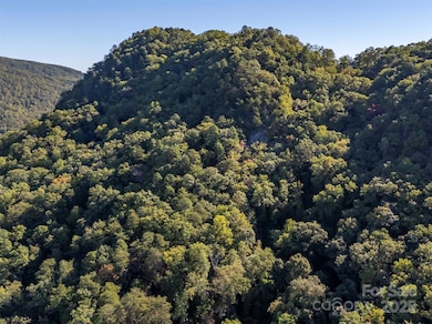 3298 Buffalo Creek Rd, Lake Lure, NC 28746 - photo 7