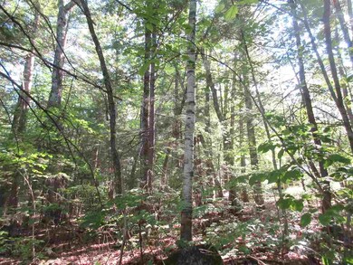 0 Algonquin unit 4696862, Bridgton, ME 04009 - photo 3