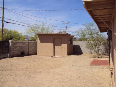 BACK YARD - SHED
