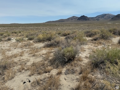 82020 S 8000 W, Grouse Creek, UT 84313 - photo 2