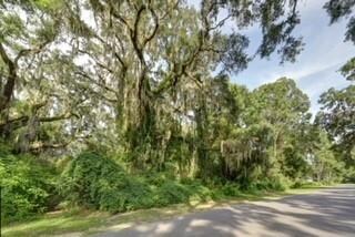 181 Merion, St. Simons Island, GA 31522 - photo 4