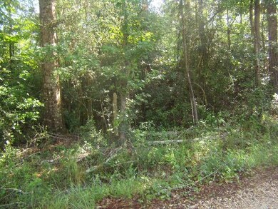 0 Mary & Marsha Dr, Slidell, LA 70458 - photo 5