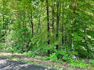 2780 Roberts Bend Rd, Burnside, KY 42519 - photo 2