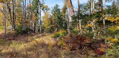 1195 Route 16 unit 1185,1195,1205,1215, Ossipee, NH 03864 - photo 4