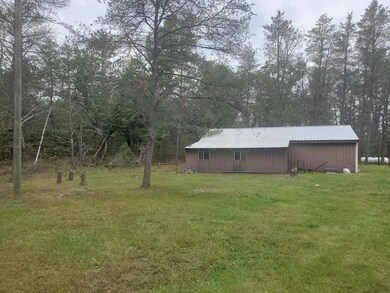 2185 W 15 Mile Rd, Bitely, MI 49309 - photo 5