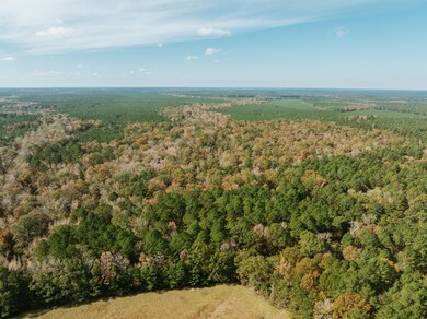 000 County Rd 81, Tinsman, AR 71631 - photo 6