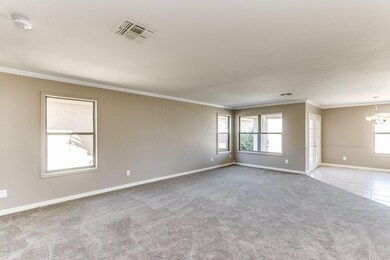Bloomfield - 018