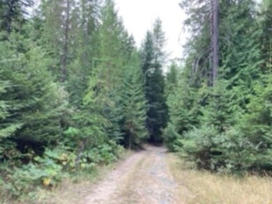 Nka. Leslie Creek Rd, Chewelah, WA 99109 - photo 5