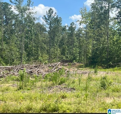 0 Fleming Rd unit 1 21425670, Vincent, AL 35178 - photo 2