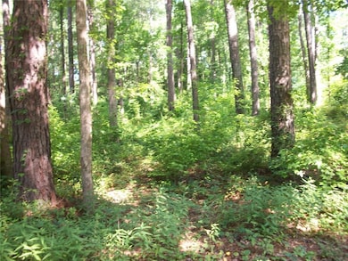 43 Shady Ln, Jackson, GA 30233 - photo 5