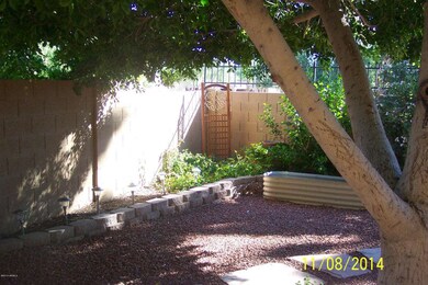 Rear Courtyard Garden