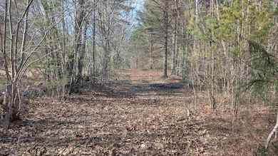 Pathway Into Lot 1