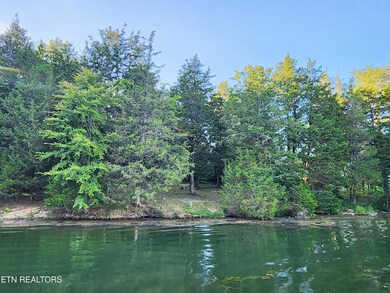 0 E Shore Dr unit 1313023, Rockwood, TN 37854 - photo 3