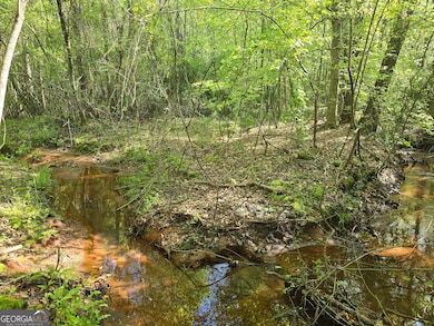 LOT 19 Smith Rd, Thomaston, GA 30286 - photo 4