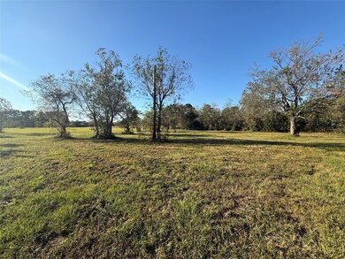 10534 Hufsmith Rd, Tomball, TX 77375 - photo 6