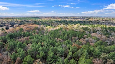 TBD Cr 3170, Winnsboro, TX 75494 - photo 3