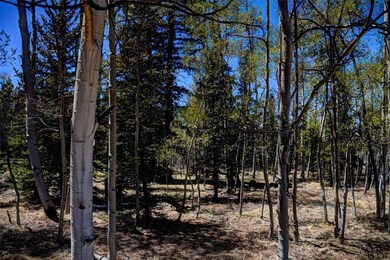 0 Kiowa St unit S1044835, Como, CO 80432 - photo 6