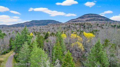 13 Corfu Rd, Elka Park, NY 12427 - photo 6