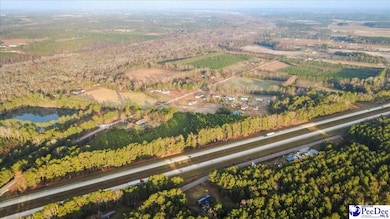 0 S Hill Rd unit 20254516, Timmonsville, SC 29161 - photo 7