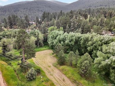 5411 Parmalee Gulch Rd, Indian Hills, CO 80454 - photo 6