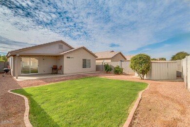Backyard with Grass