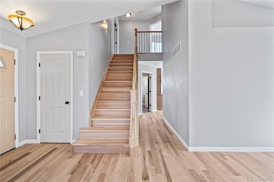 10880 Mount Bross Way, Parker, CO 80138 - photo 7