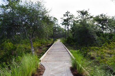 TRAILS