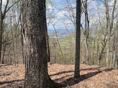 155 Chelaque Way, Mooresburg, TN 37811 - photo 2