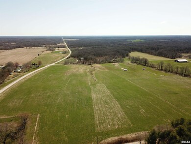 00 Buchanan Rd, Iuka, IL 62849 - photo 5