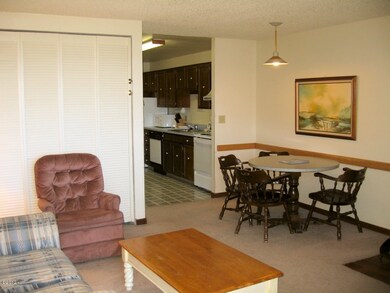 Living Room with Murphy Bed