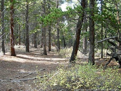 Land/Lot.