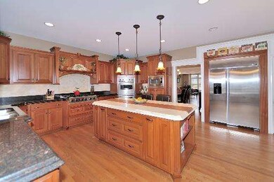 297 N Maple Ave, Elmhurst, IL 60126 - photo 6