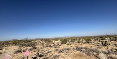 13160 W Cornell Dr unit 85, Three Points, AZ 85736 - photo 4