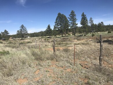 3509 Fs 916 Forest Servic, Aripine, AZ 85933 - photo 4