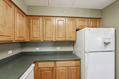 William Place unit 607, River Forest, IL 60305 - photo 6