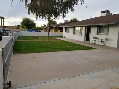 Front Yard