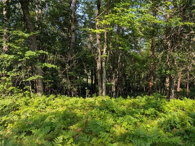 XXX Dock Lake Rd, Spooner, WI 54801 - photo 3