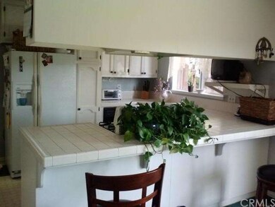 Counter and kitchen