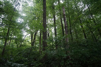 0 Duncanson Rd unit 24555971, Whiteoak Township, OH 45171 - photo 3