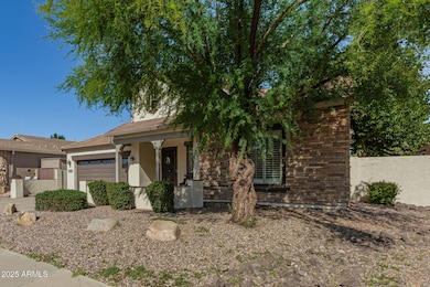 1090 E Elgin St, Gilbert, AZ 85295 - photo 6