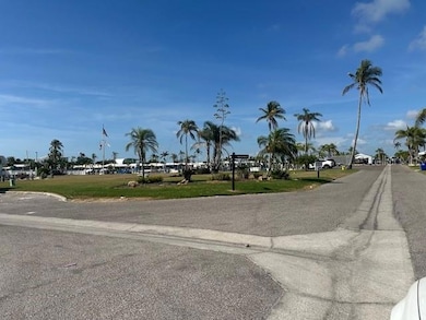 View of Marina from Front
