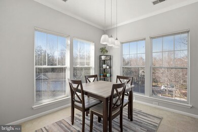 1519 N Point Dr unit 304, Reston, VA 20194 - photo 5