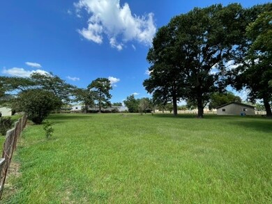 27111 Decker Prairie Rosehl Rd, Magnolia, TX 77355 - photo 2