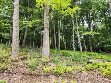 TBD Starmount Ln, Galax, VA 24333 - photo 6